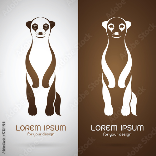 Fotografi Vector image of an meerkats design on white background and brown