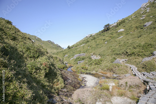 An image of trail to Mount Miyanouradake in Yakushima, Japan