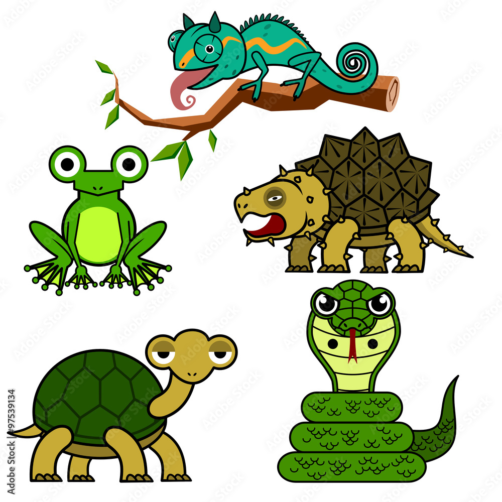 Obraz premium illustration of reptiles