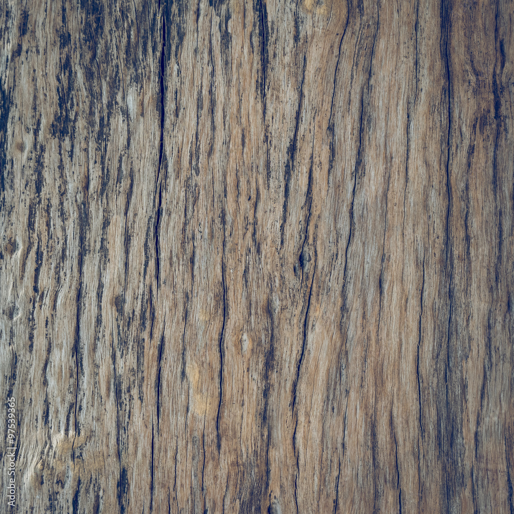 dry skin wood texture of aged hardwood background