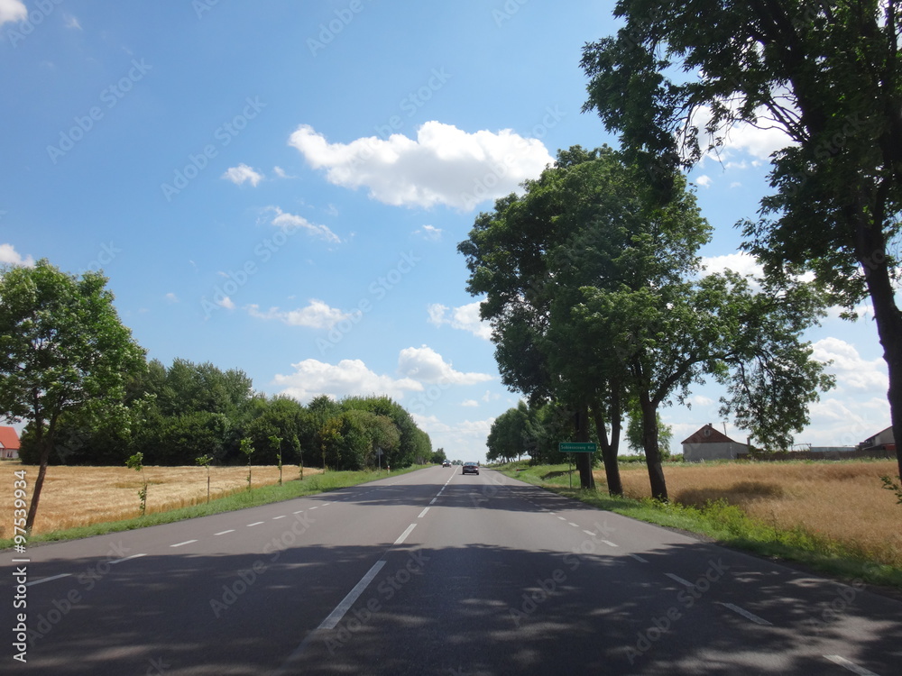 Автострада с деревьями по обочинам летним солнечным днем