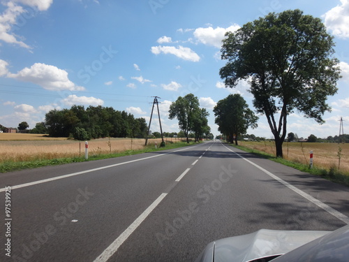 Автострада с деревьями по обочинам летним солнечным днем