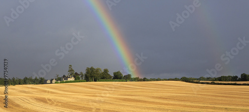 Beautiful rainbow in dark sky over field the harvest of wheat.