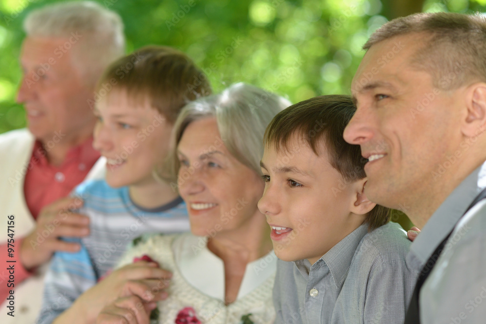 Family relaxing in summer park