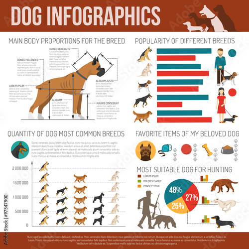 Dog infographics set