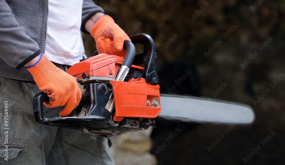 Chainsaw and tree Chainsaw and tree