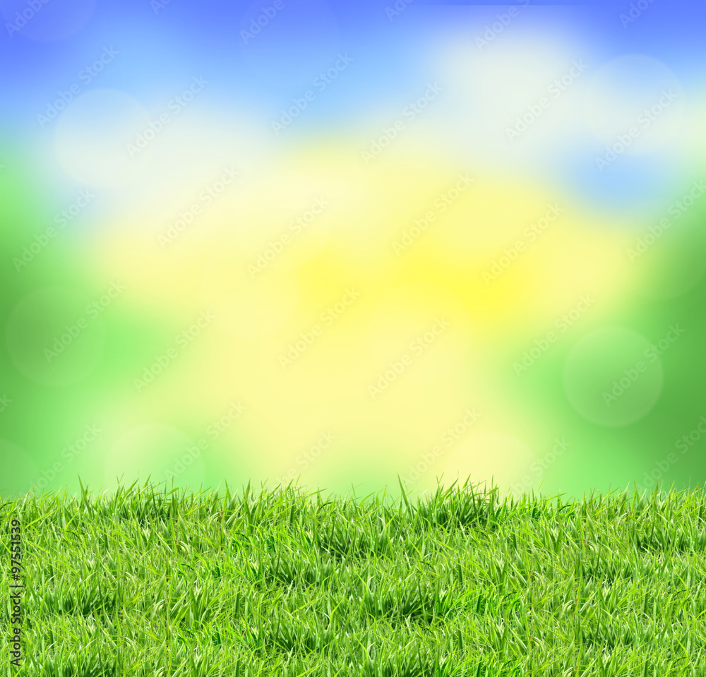 Blurred nature background and green grass