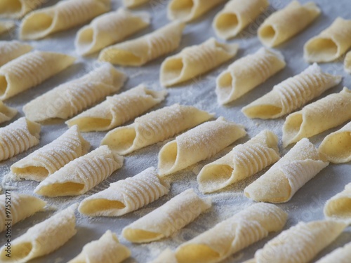 Fresh  home made  italian pasta Garganelli