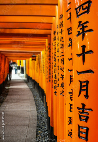 Fushimi Inari Shrine #97553152