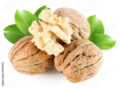 walnuts with nucleous isolated on the white background photo