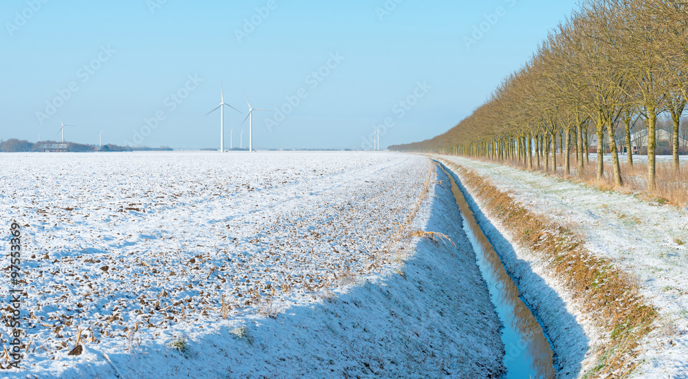 Field covered in snow in winter 
