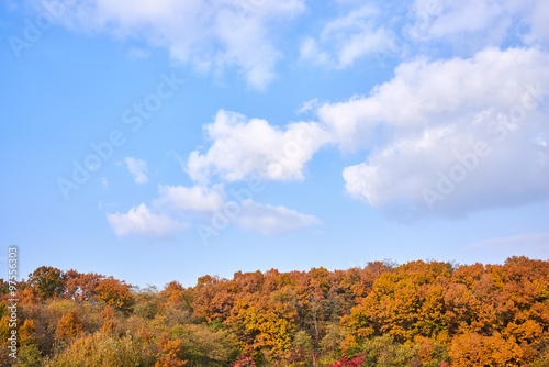 blue sky and autumn colors on a mountain
