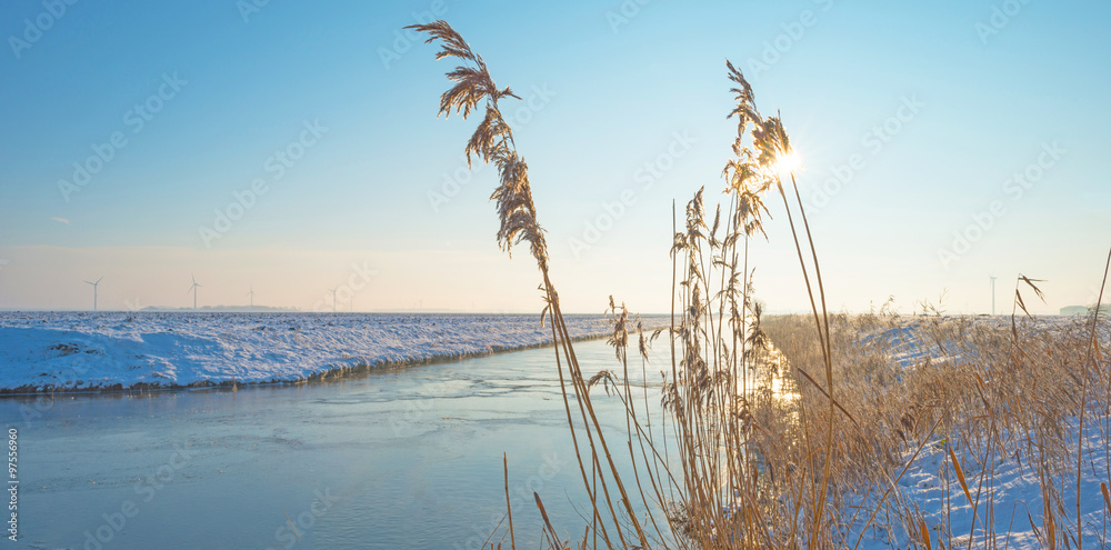 Canal through a snowy landscape in winter 