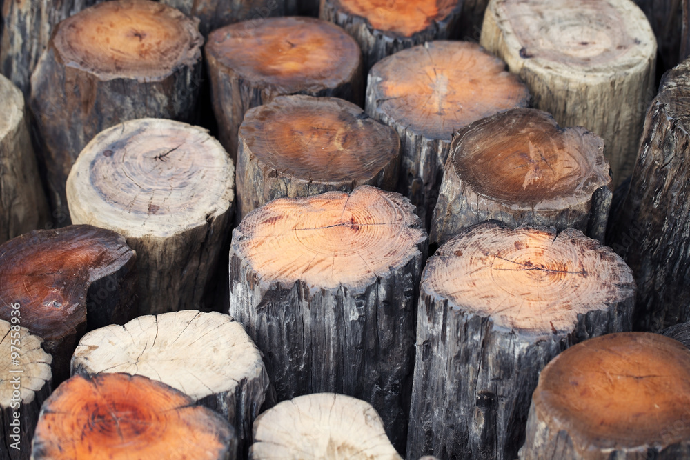 stump background stump background