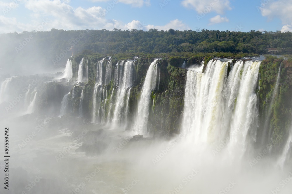 Fototapeta premium アルゼンチン側のイグアスの滝