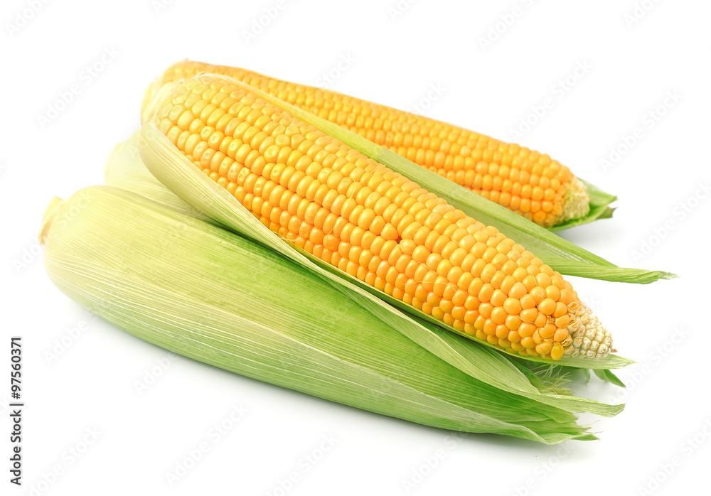 An ear of corn