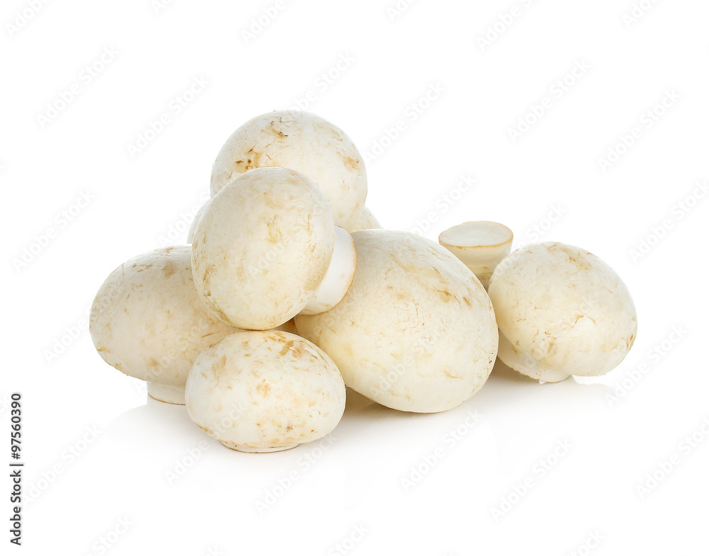 Champignon Isolated on White Background Champignon Isolated on White Background