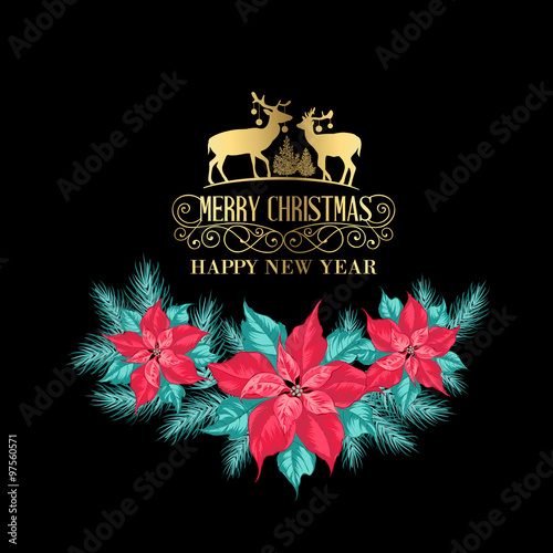 Christmas mistletoe branch.