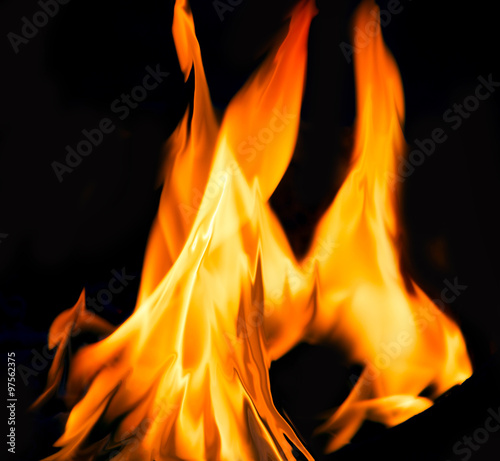 Fire flames on a black background