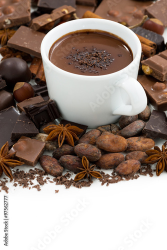 cup of hot chocolate and ingredients, vertical, isolated