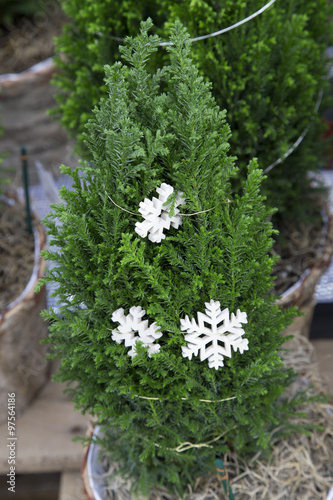 Miniature Christmas Tree with Snowflake Garland