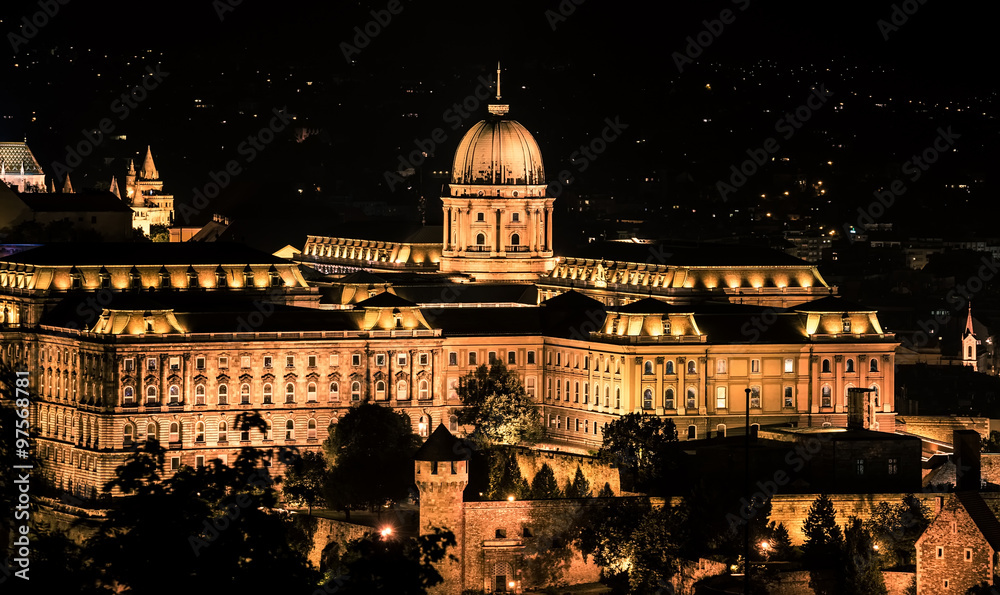 Fototapeta premium Buda castle at night