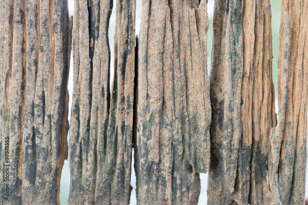 Obraz premium Vintage old wood background texture