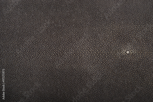 stingray leather, color for background