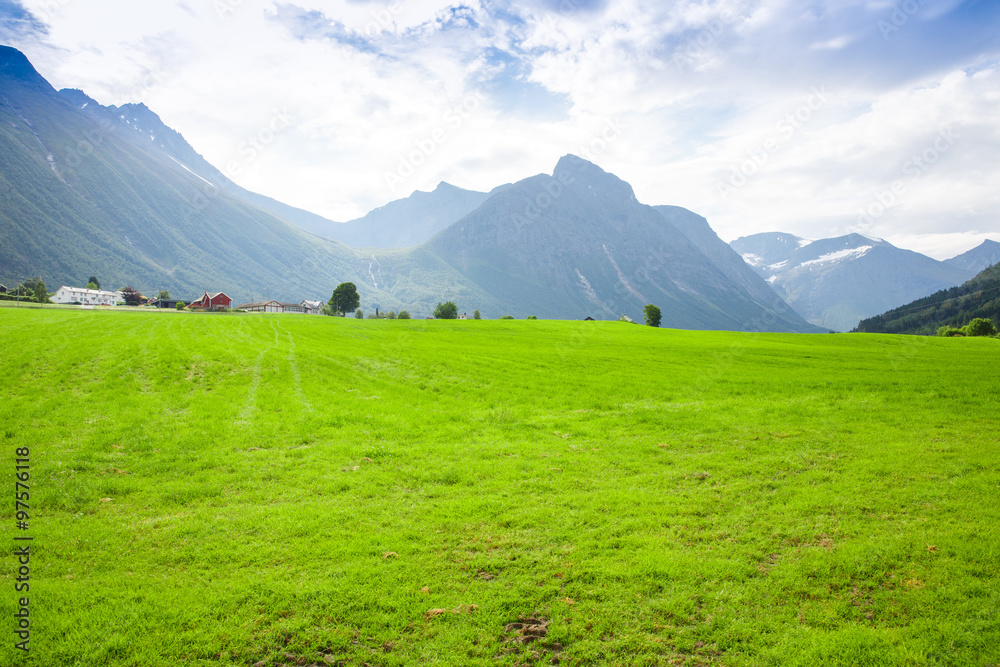Fototapeta premium Green meadows and high mountains