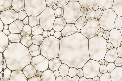 Nano web