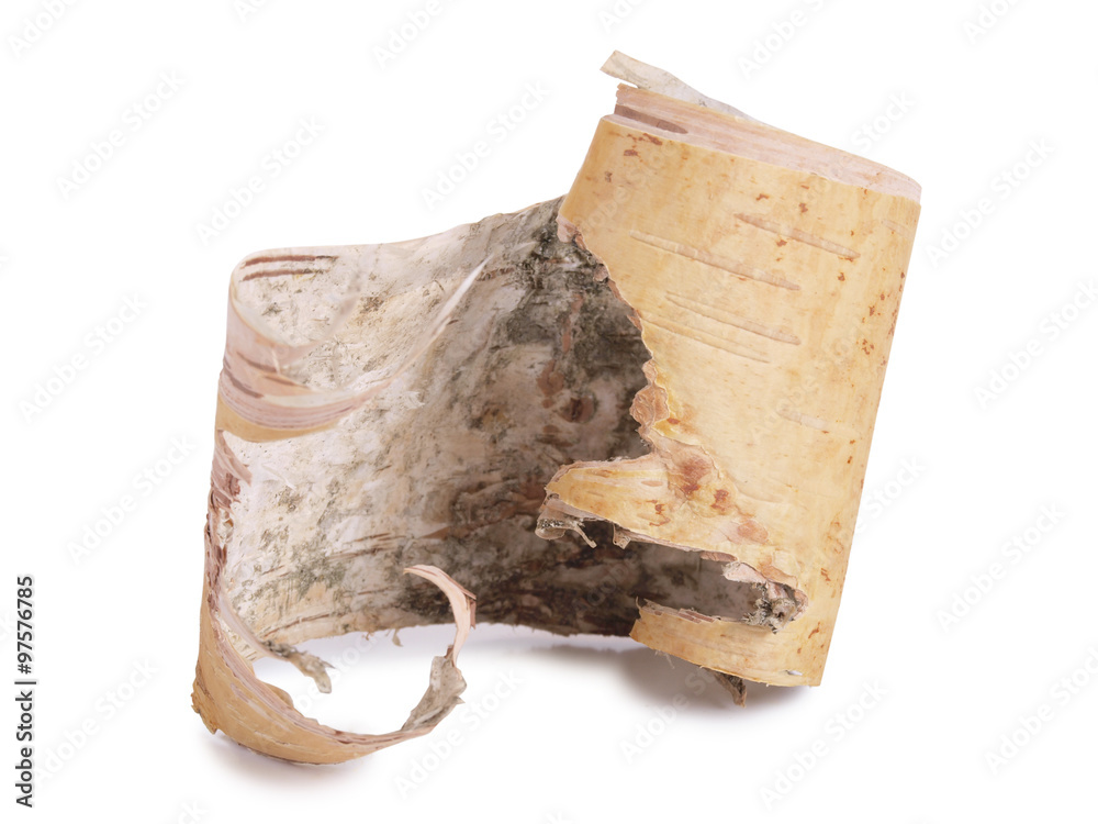 Naklejka premium Birch bark on white background