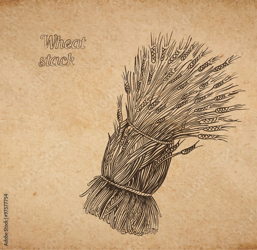 Wheat bunch engraving