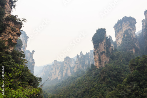 Zhangjiajie national park   tian zhi shan     Tianzi Mountain Nature Reserve   and fog   China