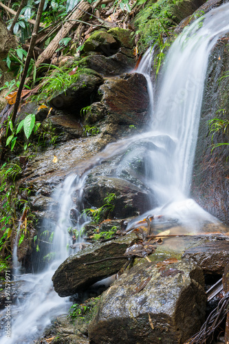 wallterfall in rainforest