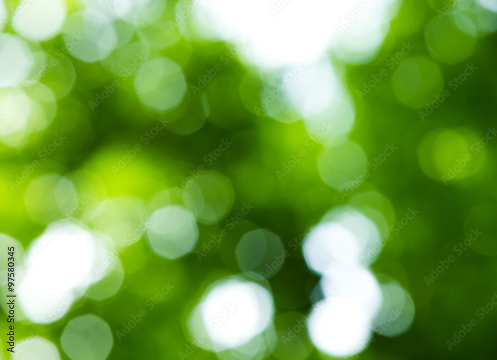 Nature bokeh Nature bokeh