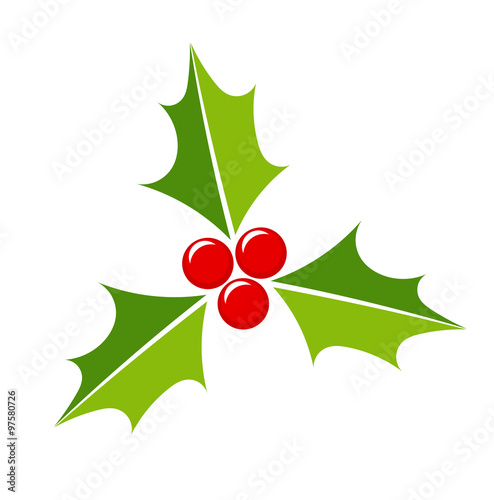 Holly berry icon
