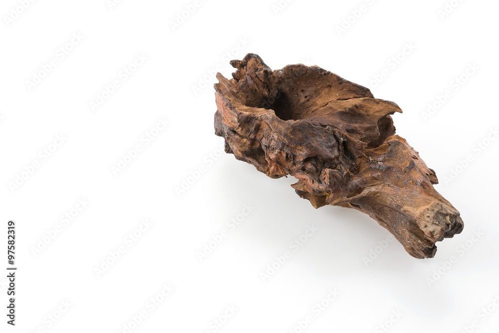 beautiful log beautiful log