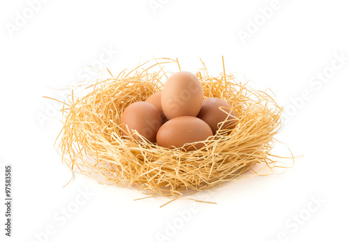 hen egg