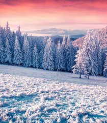 Colorful winter sunrise in the misty mountains