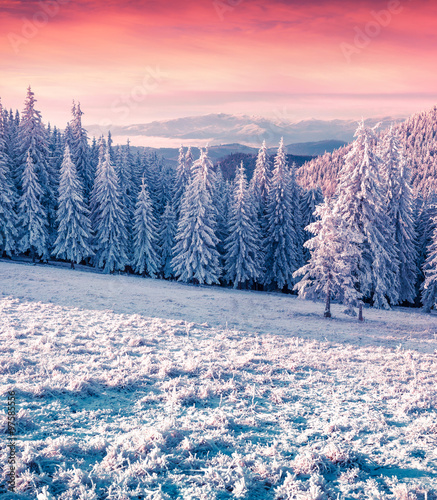 Colorful winter sunrise in the misty mountains