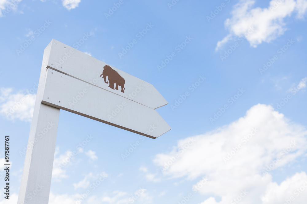 White wood elephant signpost