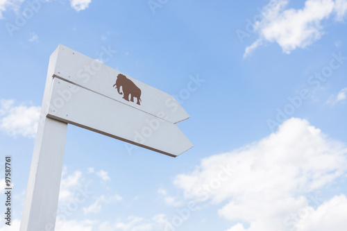 Obraz na płótnie White wood elephant signpost w salonie