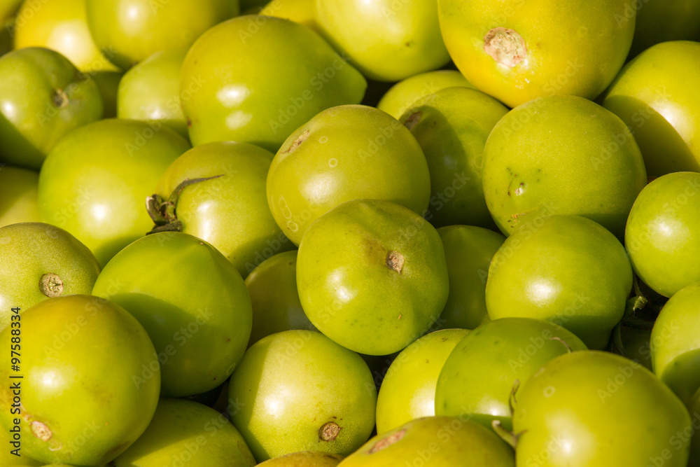 Background of groups of immature tomato market. Agriculture Background of groups of immature tomato market. Agriculture