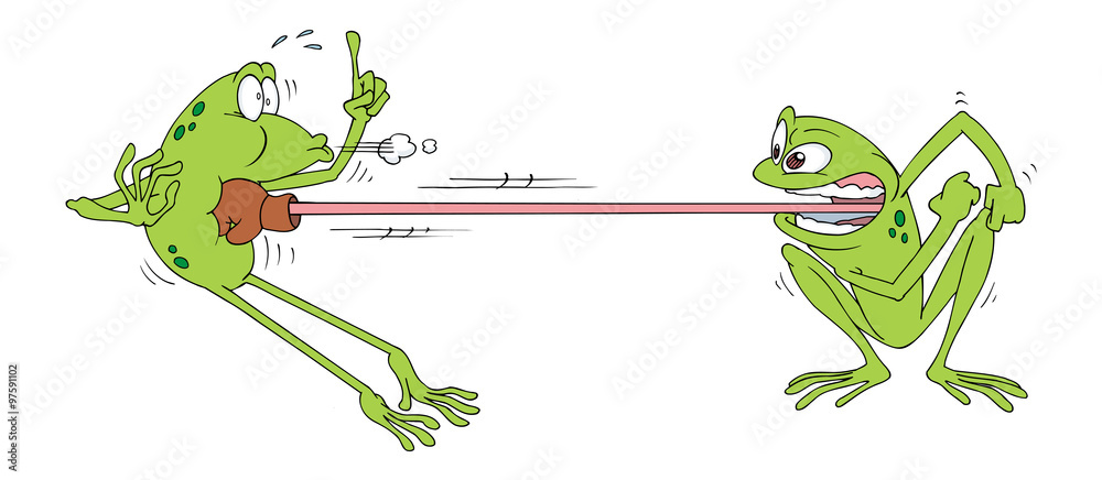 Naklejka premium frog fighting