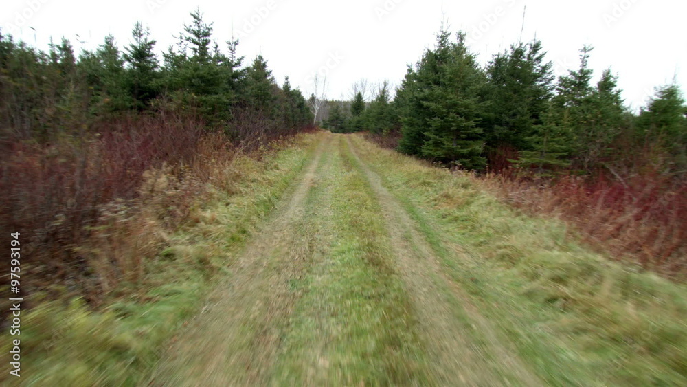 Front POV View from a Vehicle on a Dirt Road Through the Forest Front POV View from a Vehicle on a Dirt Road Through the Forest