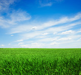 Green field and sky blue with white cloud