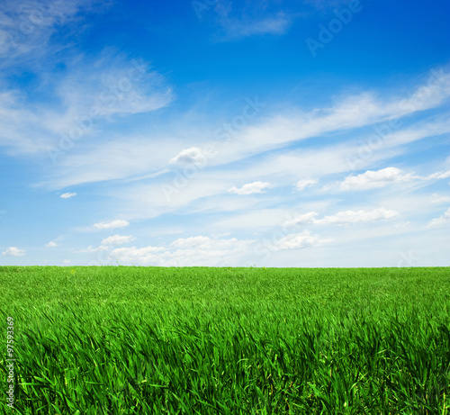 Green field and sky blue with white cloud