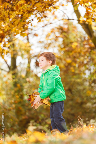 Autumn portrait of cute boy