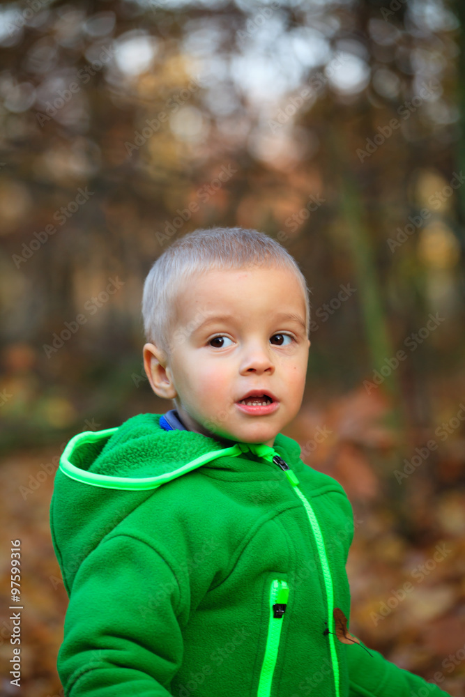 Autumn portrait of cute boy Autumn portrait of cute boy