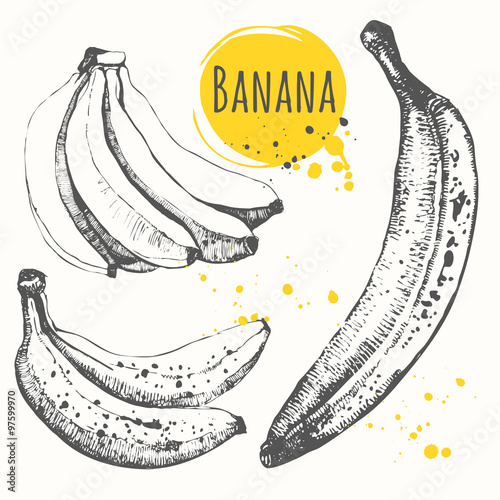 Set of hand drawn banana. Black and white sketch food. 
